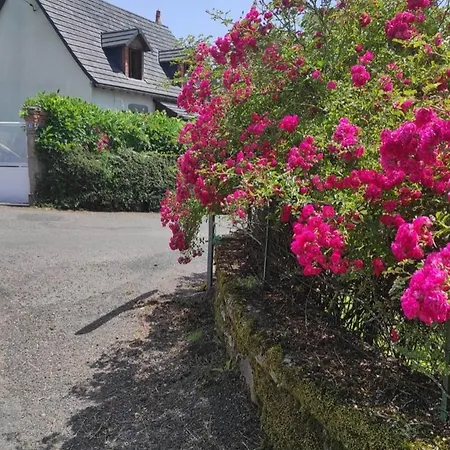 Avec Jardin Pour 6 Pers Pres De Salers Nature & Puy Mary בית נופש *