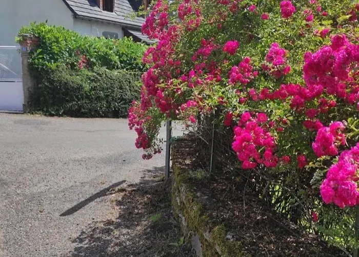 Avec Jardin Pour 6 Pers Pres De Salers Nature & Puy Mary Holiday home *